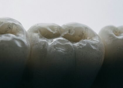 Teeth Diagram Names Explained